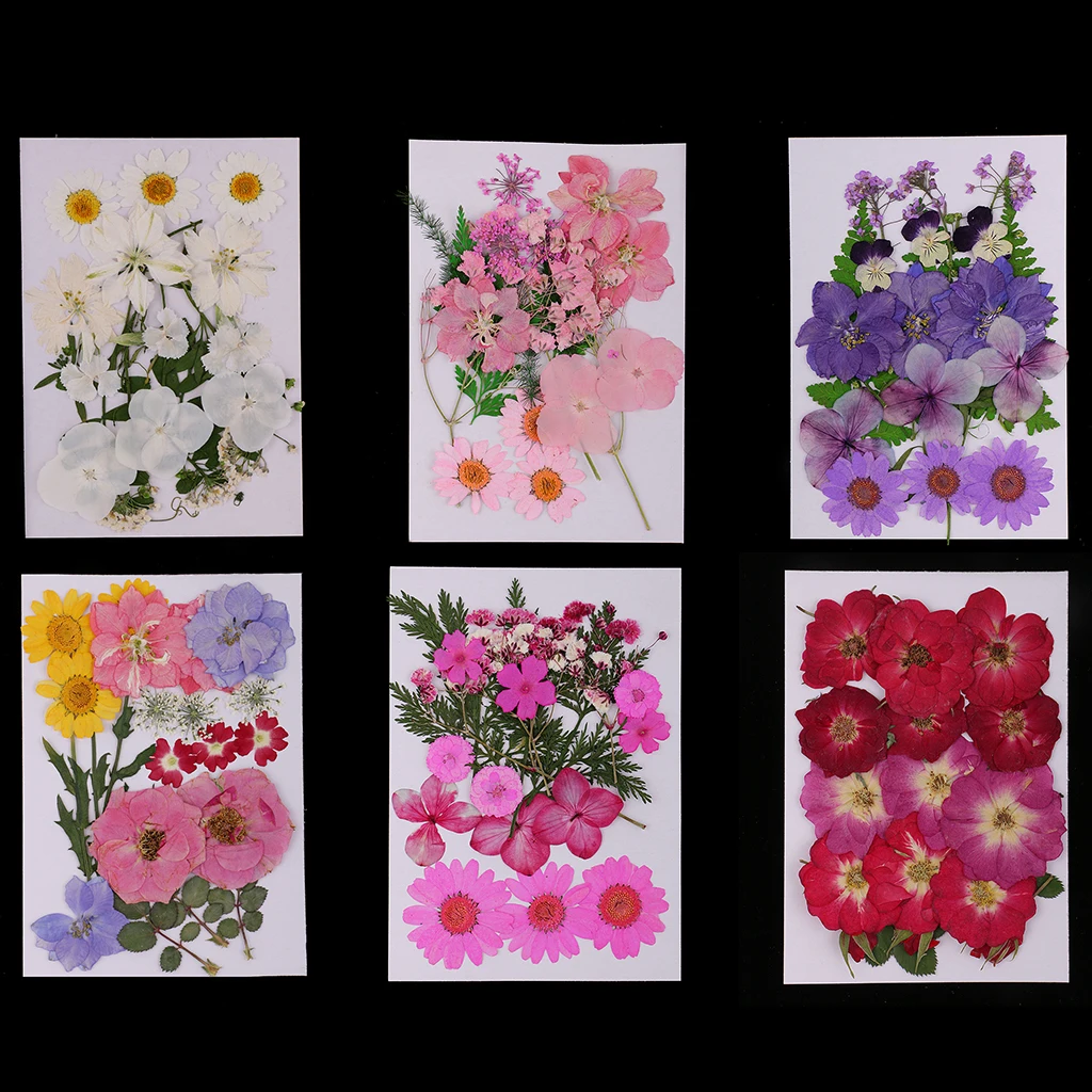 6 упаковок смешанные прессованные листья Натуральные сушеные цветы для