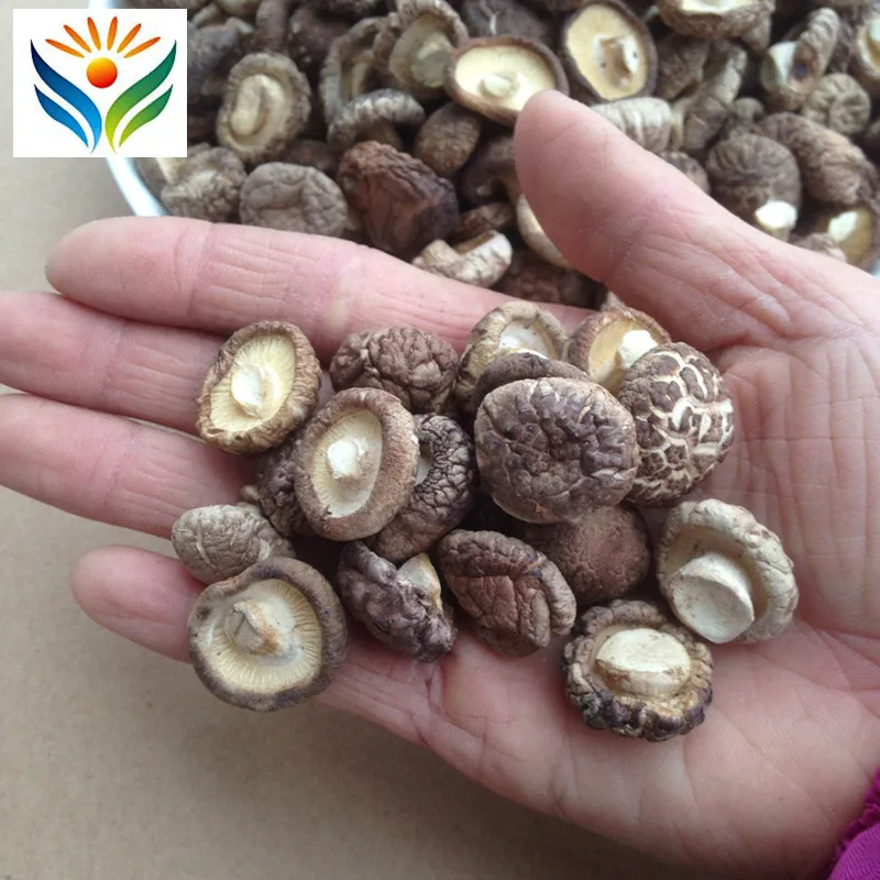 Сушеные грибы Shiitake деревянные органические натуральные еды для кухни |