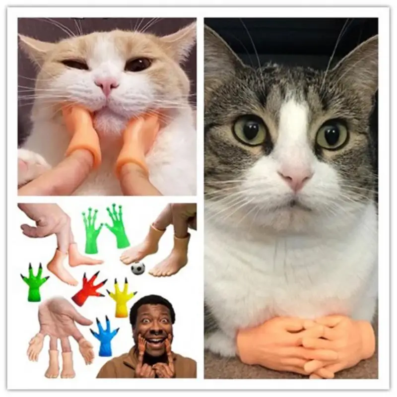 2/10 Pcs/pet игрушечная перчатка мини пальцы с маленьким котиком для наружных