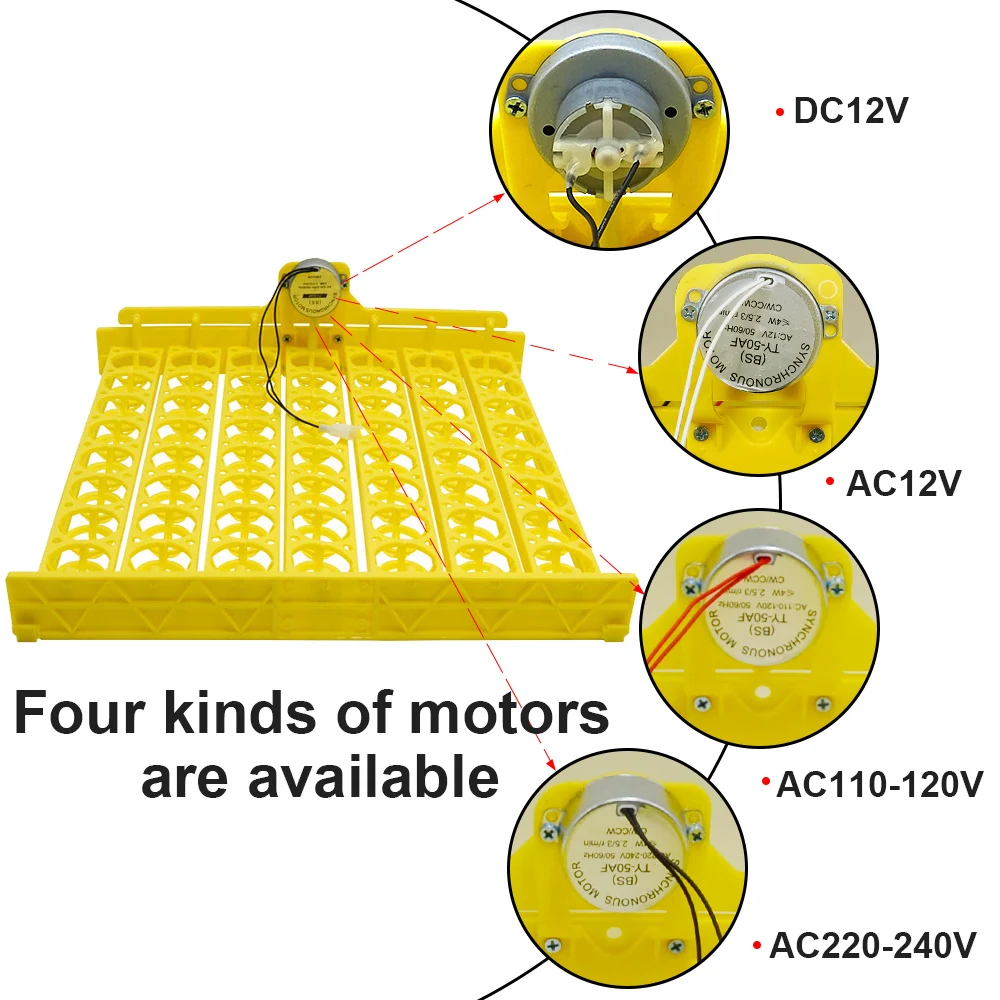 

Multifunction 56 With 12V Motor Plastic Egg Tray Automatic Turn Egg For Mini Brooder Incubator Spare Parts Accessory