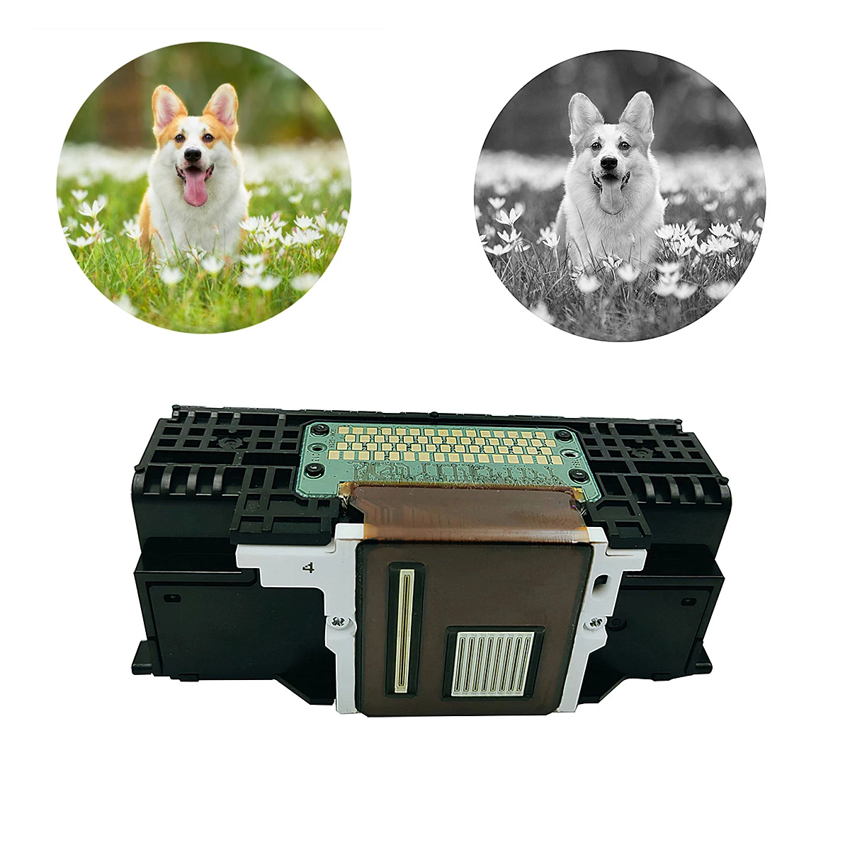 

Товар подходит для печатной насадки Canon QY6-0083