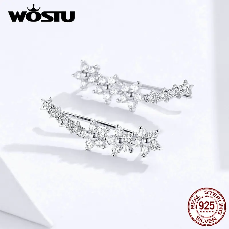 WOSTU, настоящее 925 пробы, серебряные серьги-гвоздики с тонким цветком, сверкающие циркониевые маленькие серьги для женщин, свадебные украшения CQE712