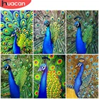 Алмазная живопись HUACAN, картина с павлином, вышивка крестиком, мозаика с животными, украшение для гостиной