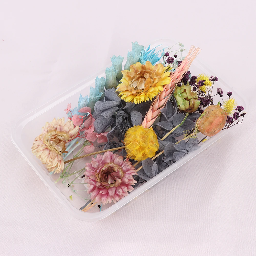 Dried Flower A Box Aromatherapy Floating Flowers Heads Making Craft DIY Greeting Cards Hand-Made Botanical Painting Decor | Дом и сад