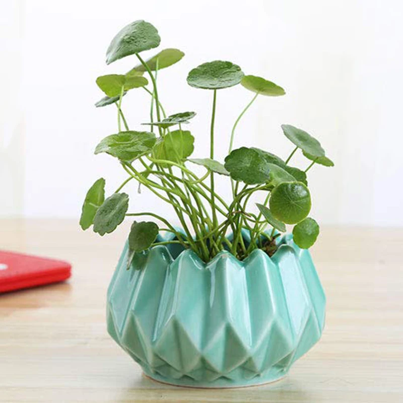 Minimalist Green Plant Hydroponic Vase Iron Holder Ceramic Scindapsus Container Home Living Room Decoration Ornaments | Дом и сад