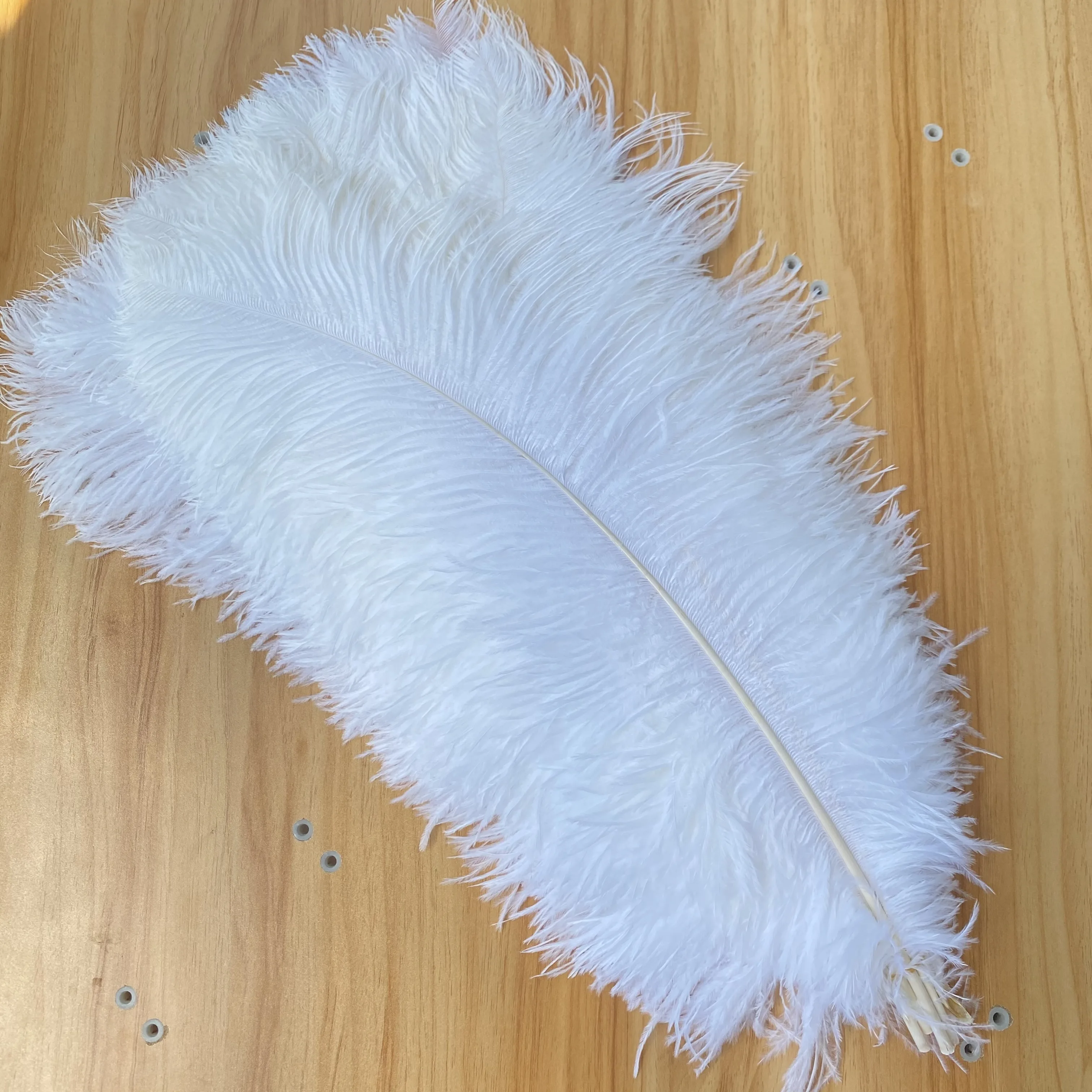 

Wholesale 20pcs/lot Beautiful White Ostrich Feather 50-55cm/20-22inch Wedding Home Carnival Party Accessories Plumes Plume