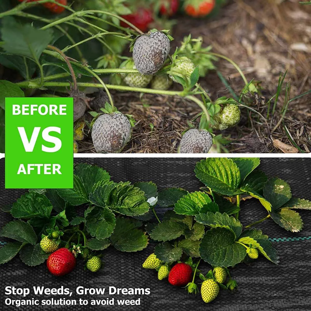 구매 100M 접지 천 커버 정원 잡초 장벽 풍경 패브릭, 내구성 튼튼한 잡초 블록 원예 매트 온실 식물 커버