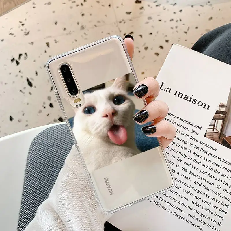 

Cute Cats New Year Gifts Phone Cases Transparent for Samsung A71 S9 10 20 HUAWEI p30 40 honor 10i 8x xiaomi note 8 Pro 10t 11