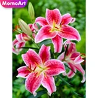 MomoArt Алмазная живопись цветы полная площадь распродажа Алмазная мозаика Лили Алмазная вышивка крестом наборы украшения