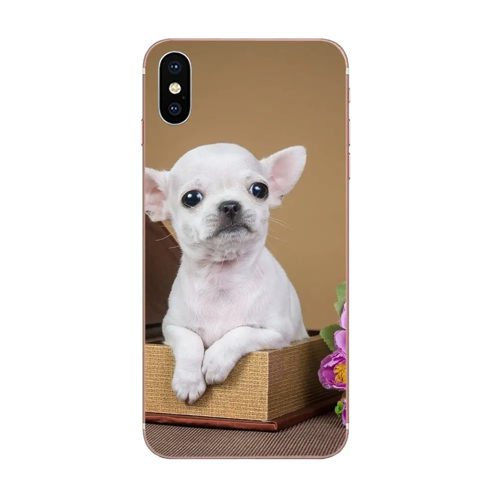 Собака породы Чихуахуа щенок мягкие чехлы для Xiaomi Redmi Mi 4 7A 9T K20 CC9 CC9e Note 7 9 Y3 SE рro рrime