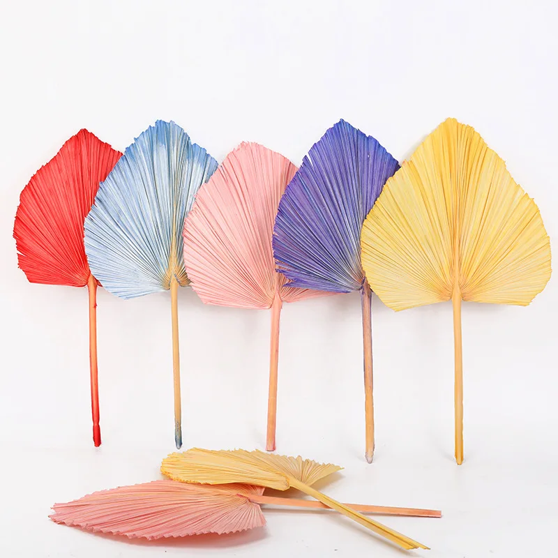 

Palm Leaf Fan Real Artificial Plants Window Reception Personalized Country Wedding Arch Decoration For Photo Shoot Props