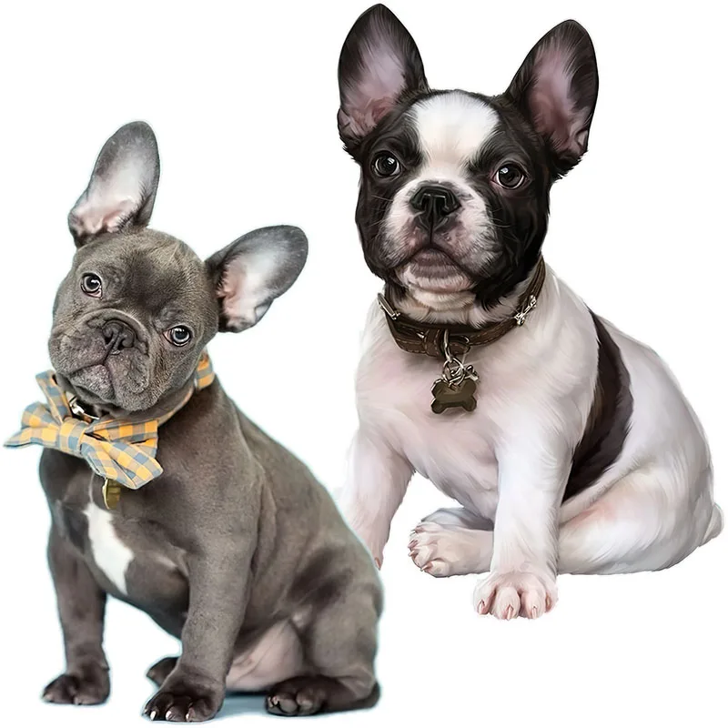 

QD112, американская стандартная наклейка для ноутбука, туалета