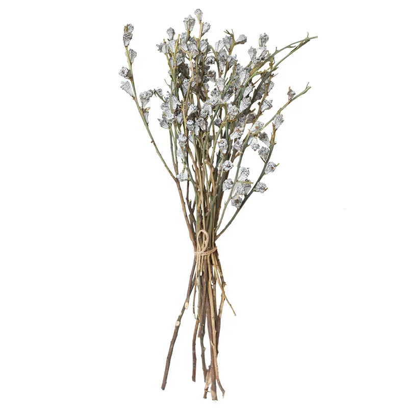 

10 stems Dried real flowers 10pcs home decoration dried natural real eucalyptus globulus fruit flowers bunch