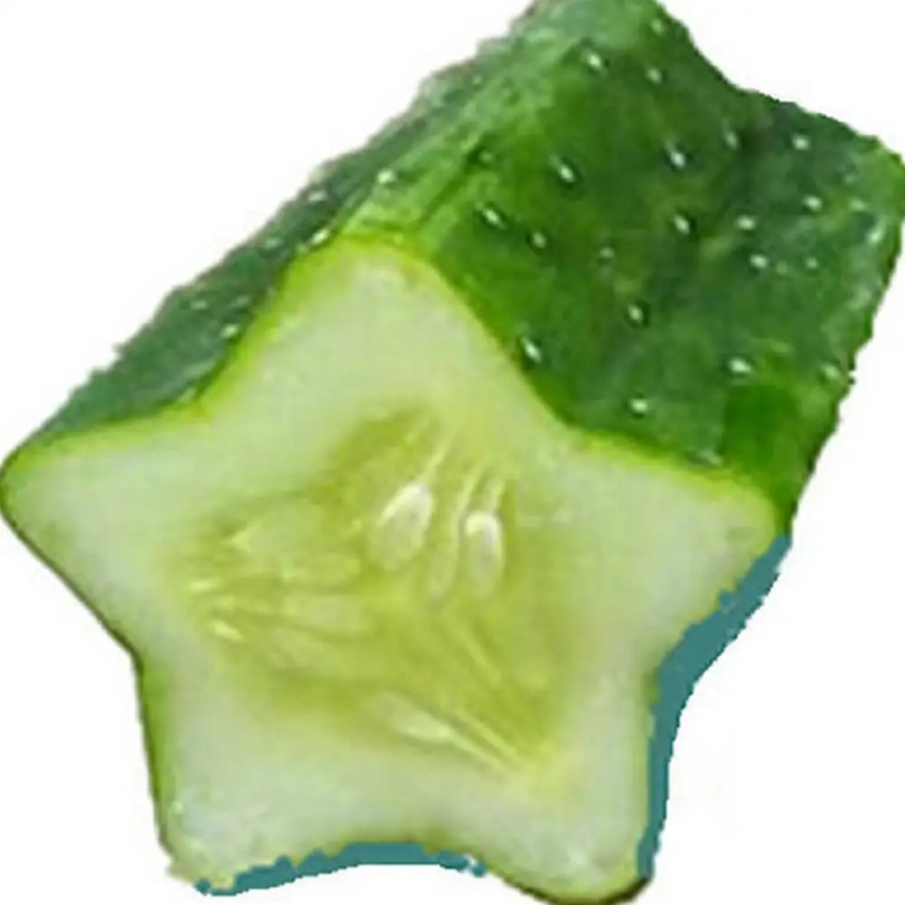 2 шт. Пластик в форме сердца звезды фрукты формирователь трубчатые формы огурец