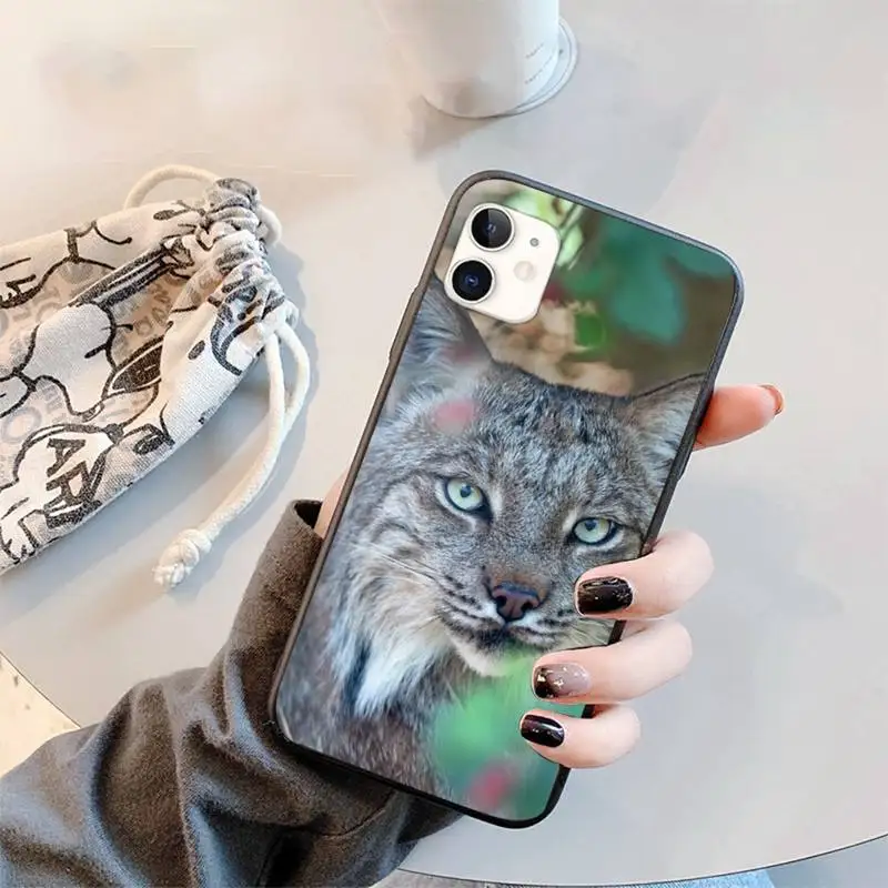 

aesthetic cute animal Big Cat Phone Case for iPhone 11 12 mini pro XS MAX 8 7 6 6S Plus X 5S SE 2020 XR