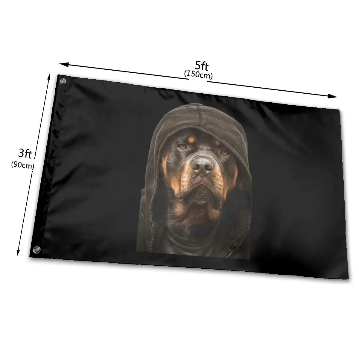 Ротвейлер Собака популярная Беговая скидка фильм чистый хорошее качество