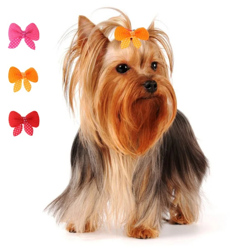 

10PCS/Set Dog Cat Hairpins Hair Clip Pet Butterfly Shape Bows Headdress Hair Clips Beatuy Accessories Random Color Pets Products