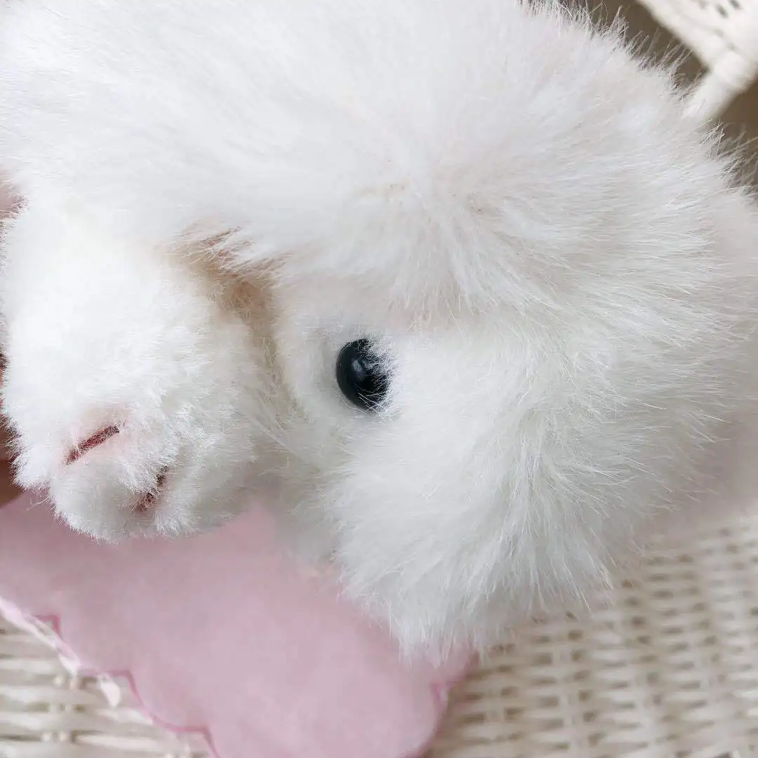 

26cm cute stuffed animals Long Ear rabbit plush soft toys Kids Pillow Doll Creative Birthday Gifts for Girls