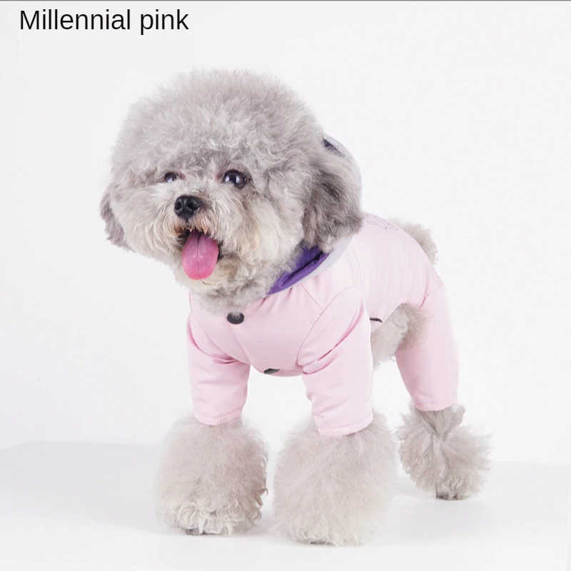 Ropa de oto&ntilde;o e invierno para mascotas, abrigo de algod&oacute;n c&aacute;lido de moda para perros peque&ntilde;os y medianos de cuatro patas, Color impactante, cuatro conejos-4