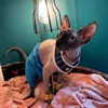 Изображение товара 5