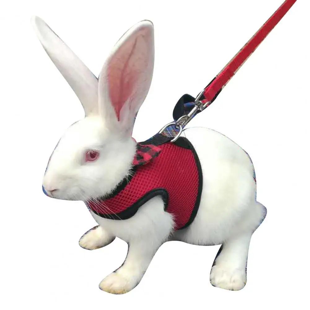 

Нагрудный ремень для домашних животных, для кроликов, хомяков, нагрудный ремень, поводок для выгула, поводок, поводок, товары для домашних жи...