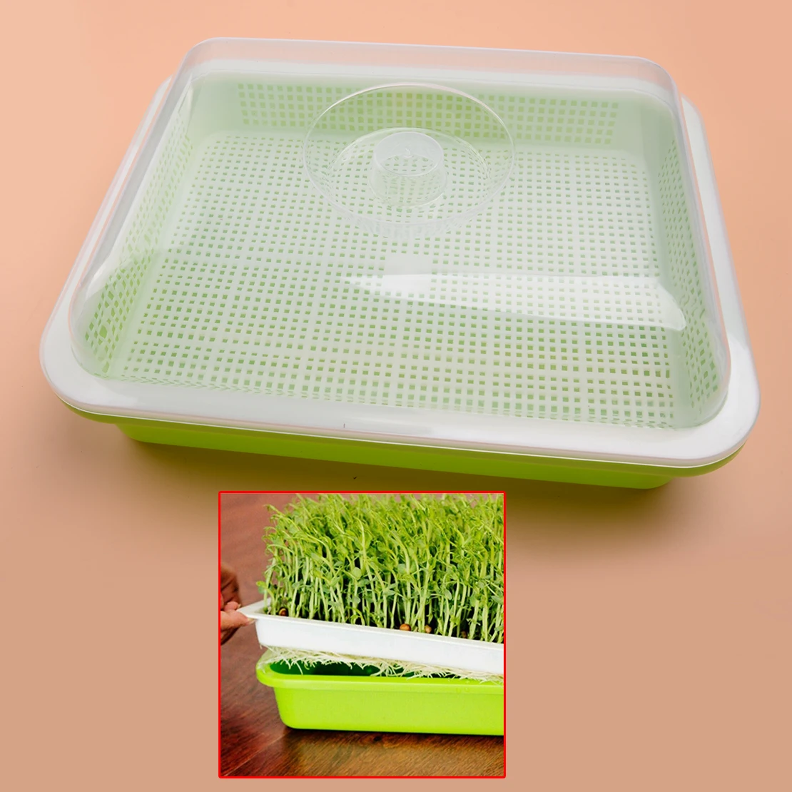 

BPA Free PP Seed Sprouter Tray With Lid Cover Soil-Free Hydroponic Bean Sprout Grower Plate
