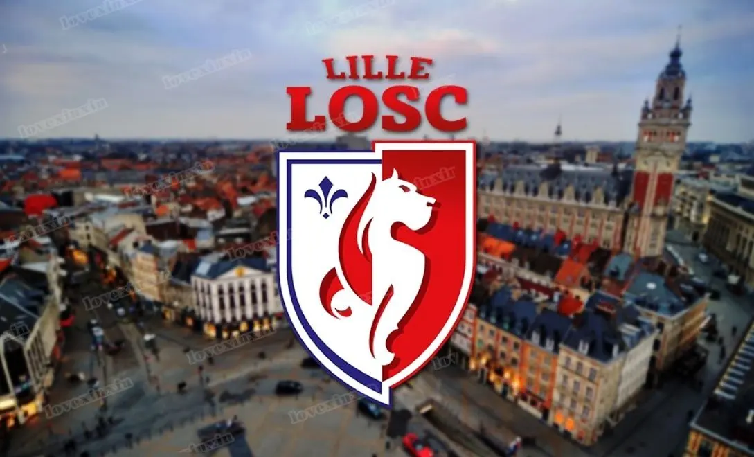 Настенная Картина на холсте с изображением футбольной команды Лилля без рамки |