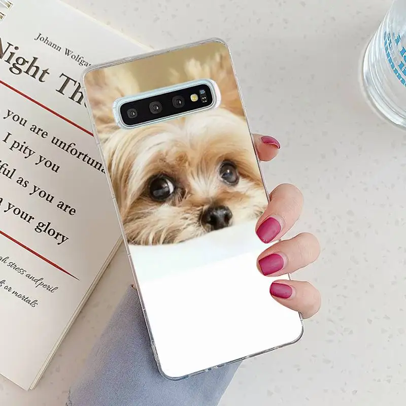

Yorkshire Terrier Phone Case Transparent for Samsung A71 S9 10 20 HUAWEI p30 40 honor 10i 8x xiaomi note 8 Pro 10t 11