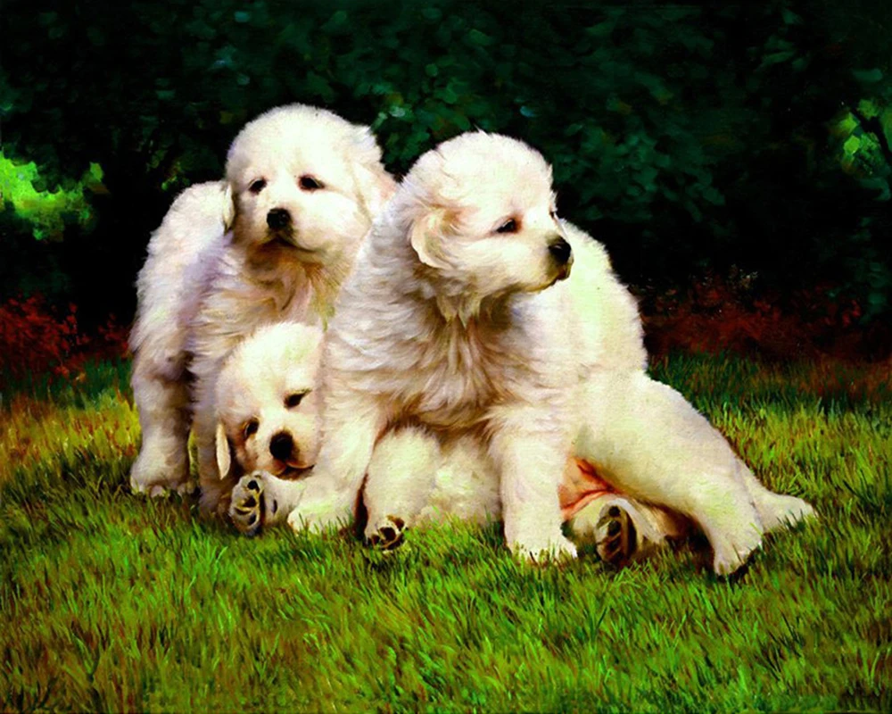 Полностью квадратная дрель 5D DIY алмазная живопись декор мозаика Вышивка крестом