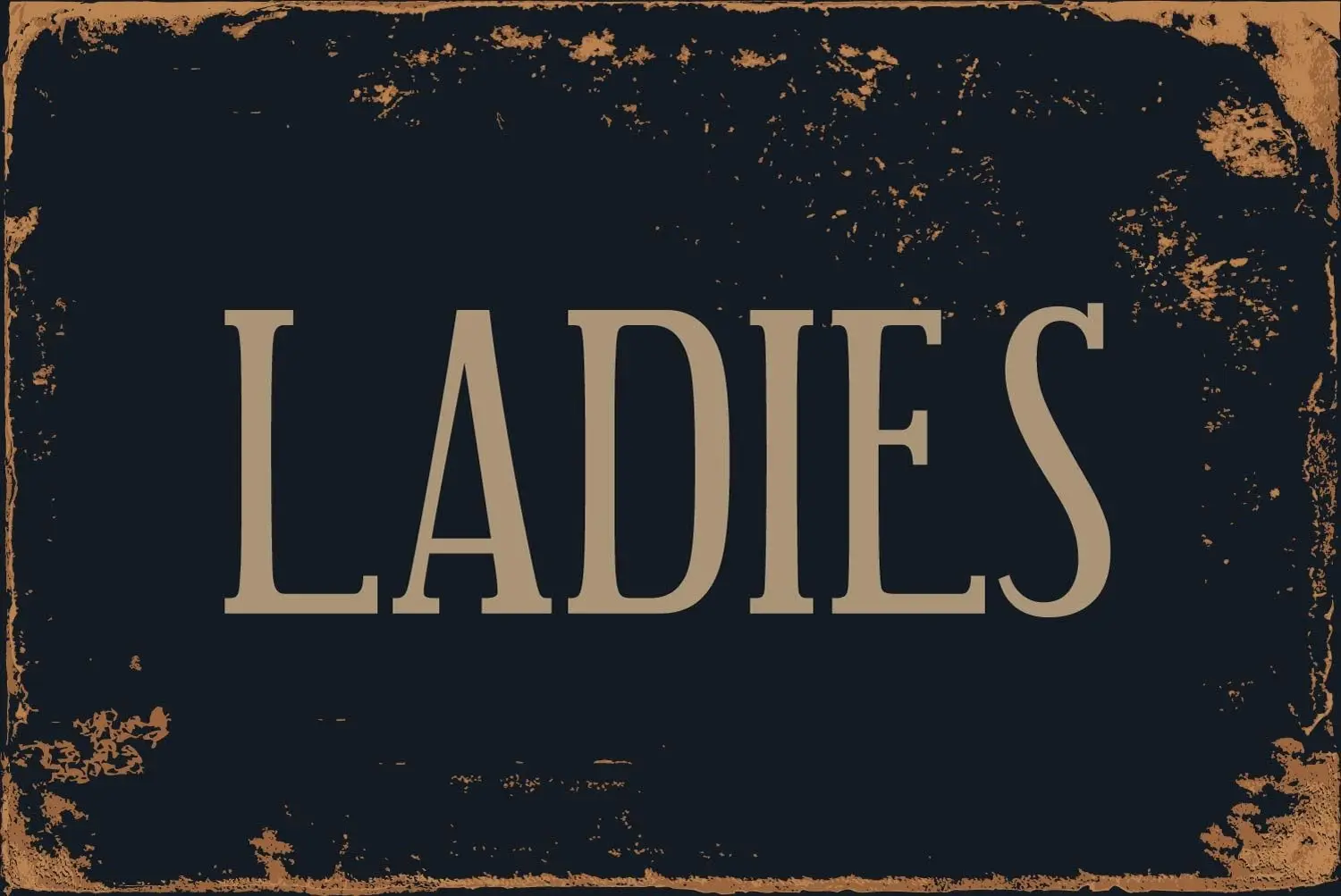 

Ladies room restroom 8" x 12" classic aluminum retro metal sign vs490