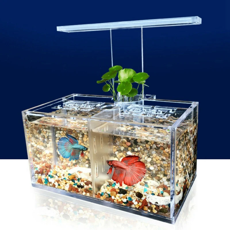 Aquarium LED Acrylic Betta Fish Tank Set Mini Desktop Light Water Pump Filters-Triple | Дом и сад