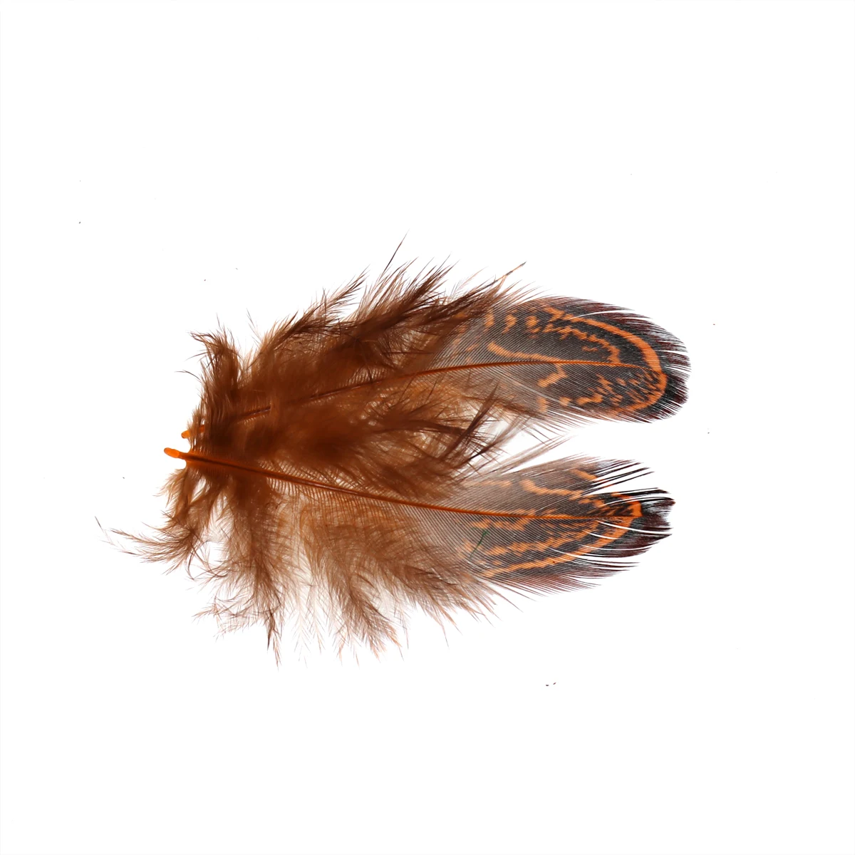 Bimoo 100 шт./упак. муха завязывание Partridge перо Caddis летающие крылья мягкие Hackle мокрые мушки соленой воды тройные Крючки материалы для связывания