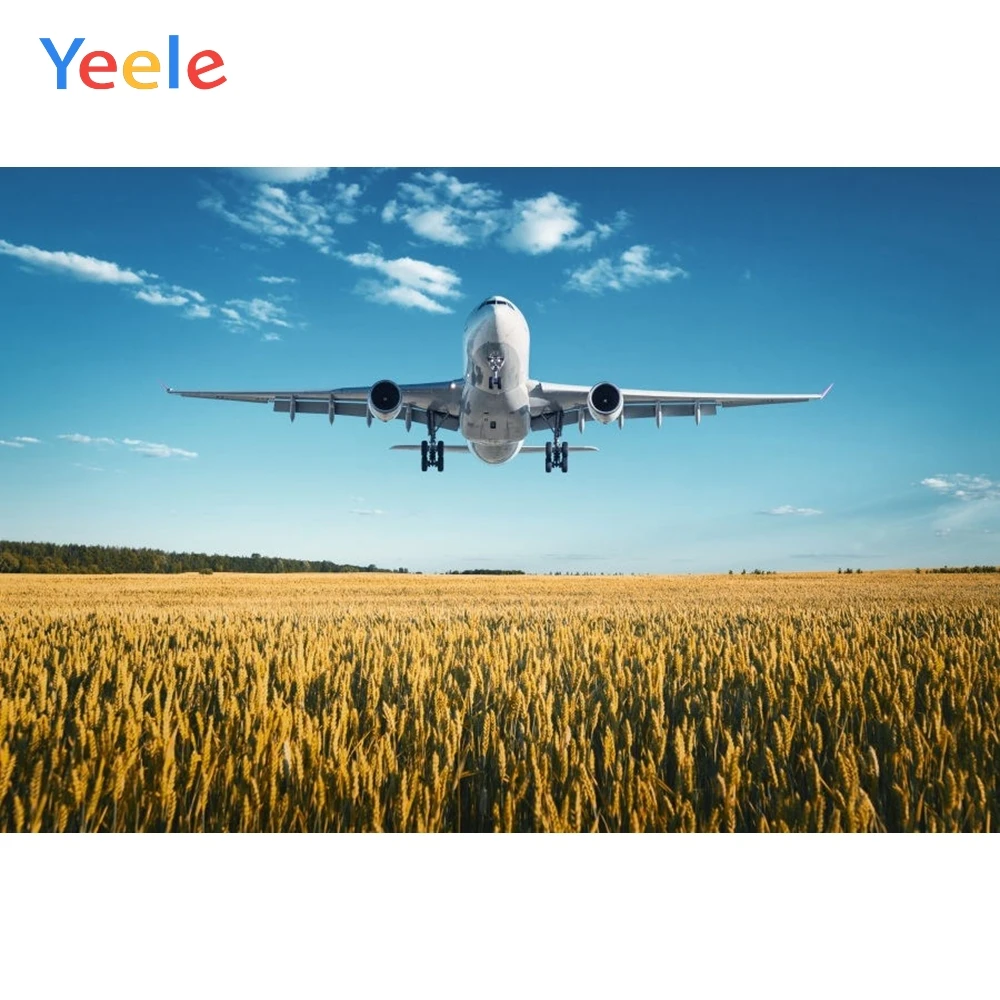 Виниловый Фотофон Yeele для фотостудии фон фотосъемки с пшеничным полевым