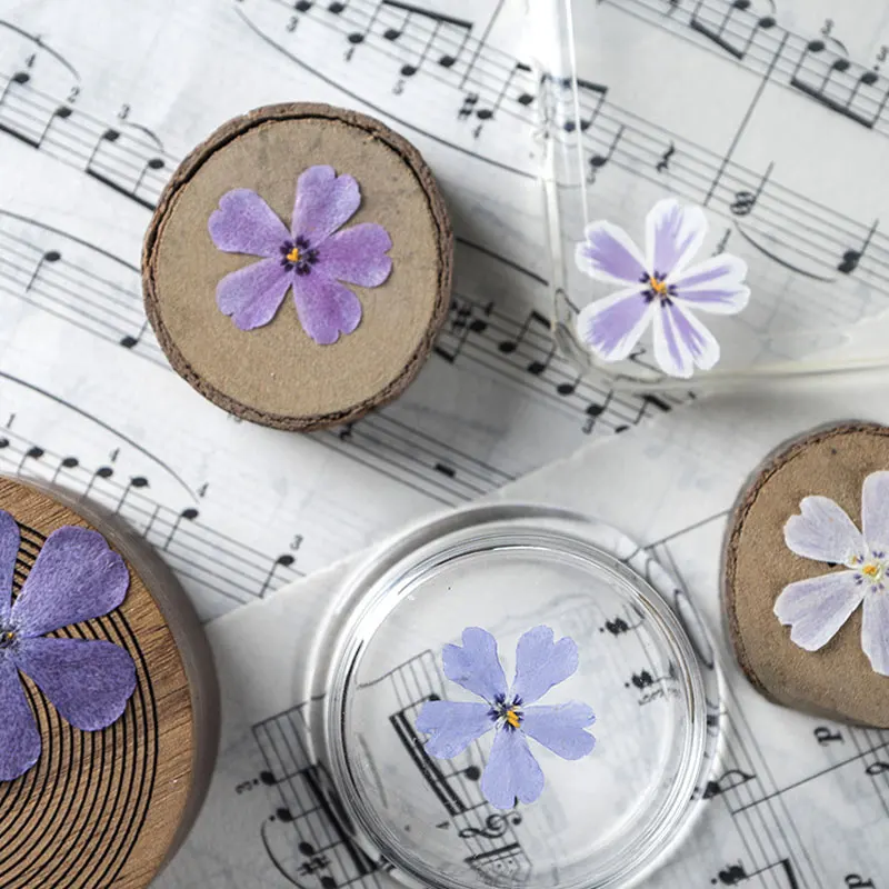 Сушеные цветы круглой формы для рукоделия бесплатная доставка 120 шт. | Дом и сад