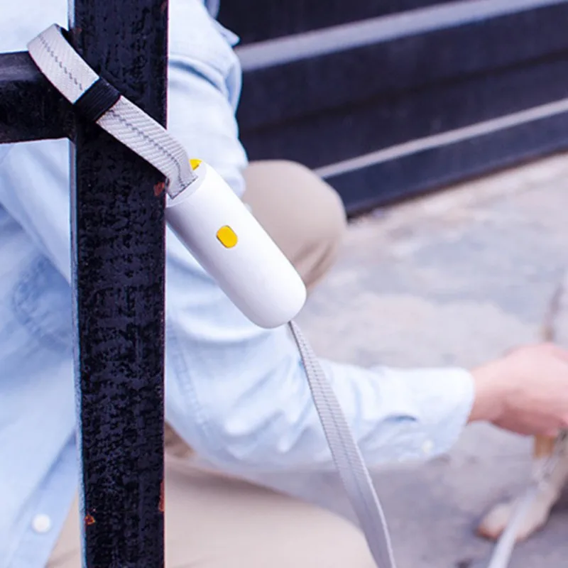 

High Quality Pet Dog Elastic Tenacity Traction Rope Running Walk Leash Belt Small Dog Elastic Rope With One-click Unlock Button
