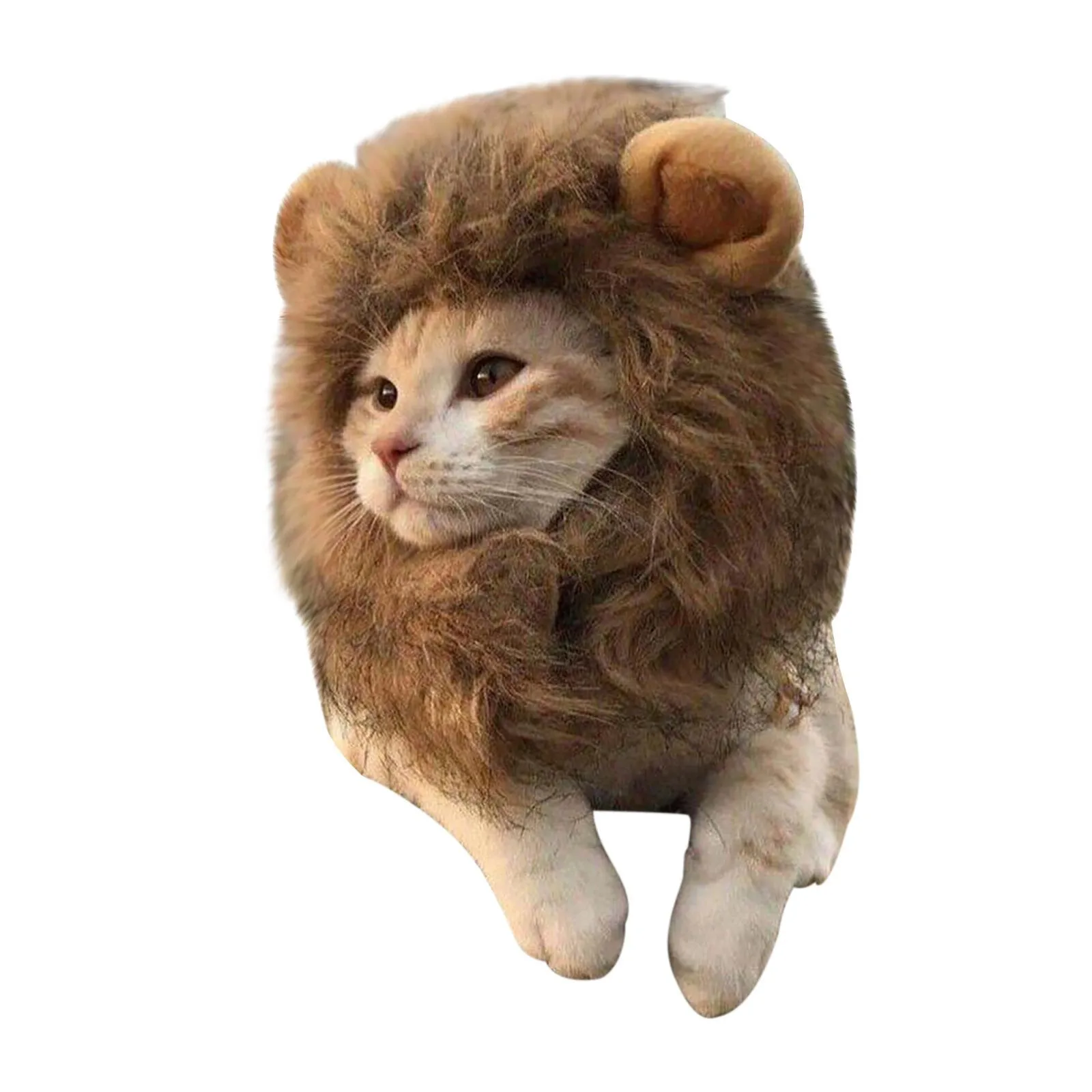 Милая фотография забавная одежда для домашних животных собака кошка шляпа