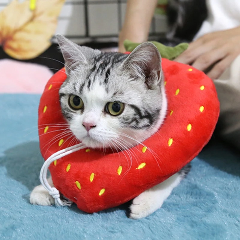 

Cat Adjustable Collar Pet Protective Cone after Surgery Anti-Bite Lick Wound T21C