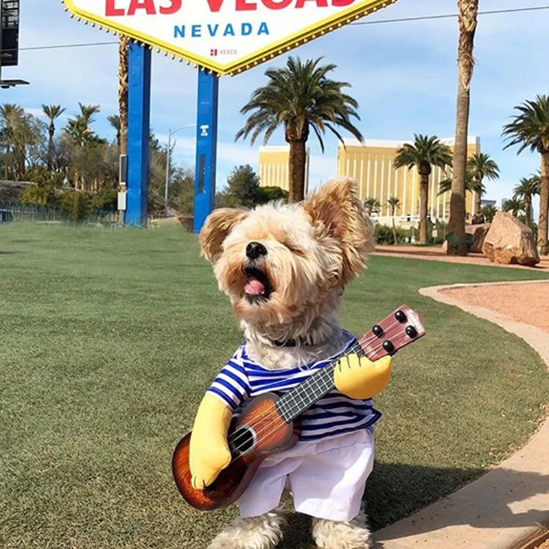 Гитарный плеер одежда для собак костюм кошки Хэллоуин Рождество специальный