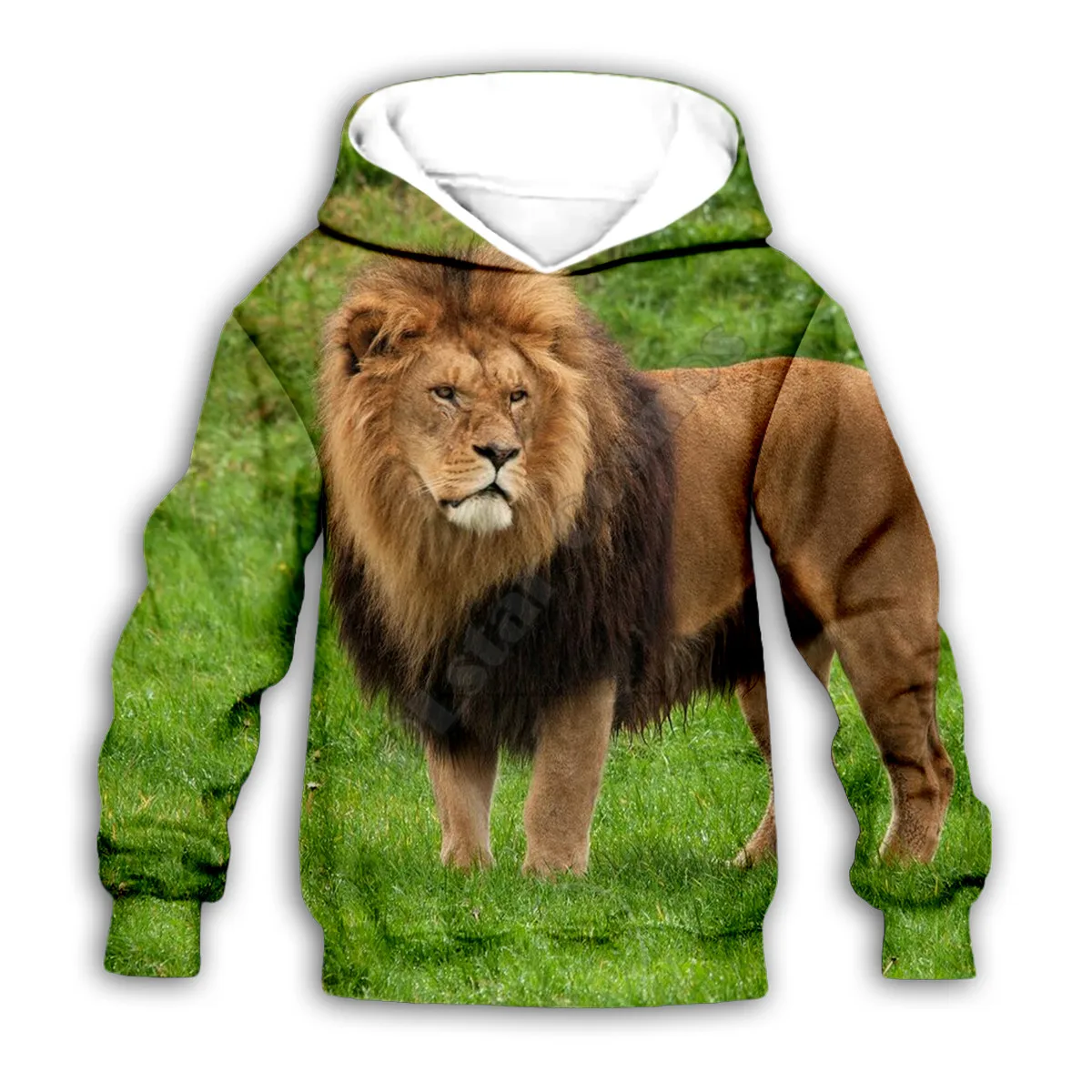 

Kid Lion 3D Golden Retriever print hoodies child baby boy girl clothing autumn Sweatshirt zipper jacket tshirt Pant Shorts 02