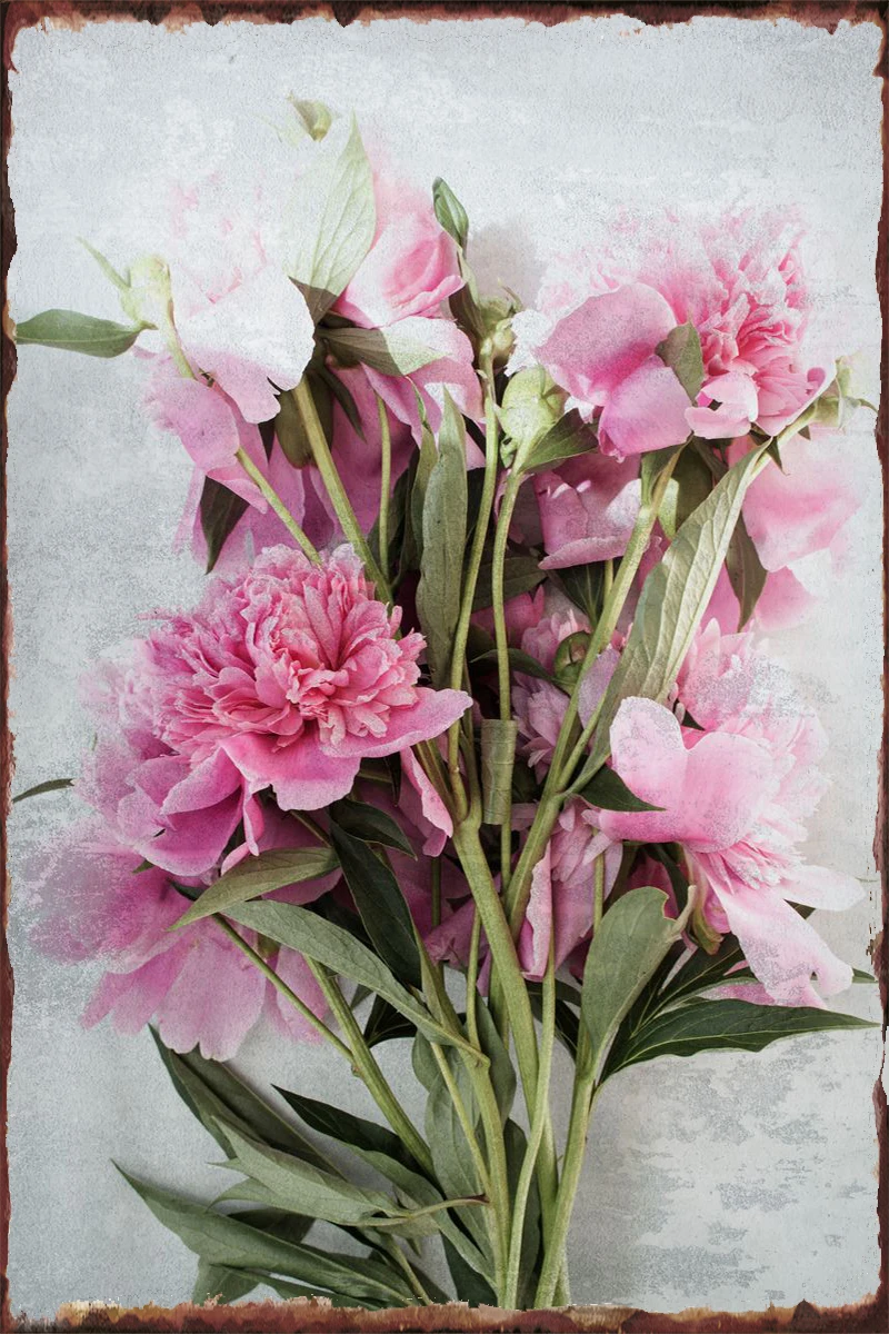 

Pink peonies 11 Tin Sign Tin Plates Wall Decor Room Decoration Retro Vintage Metal Sign For Art Man Cave Cafe Pub Home Club