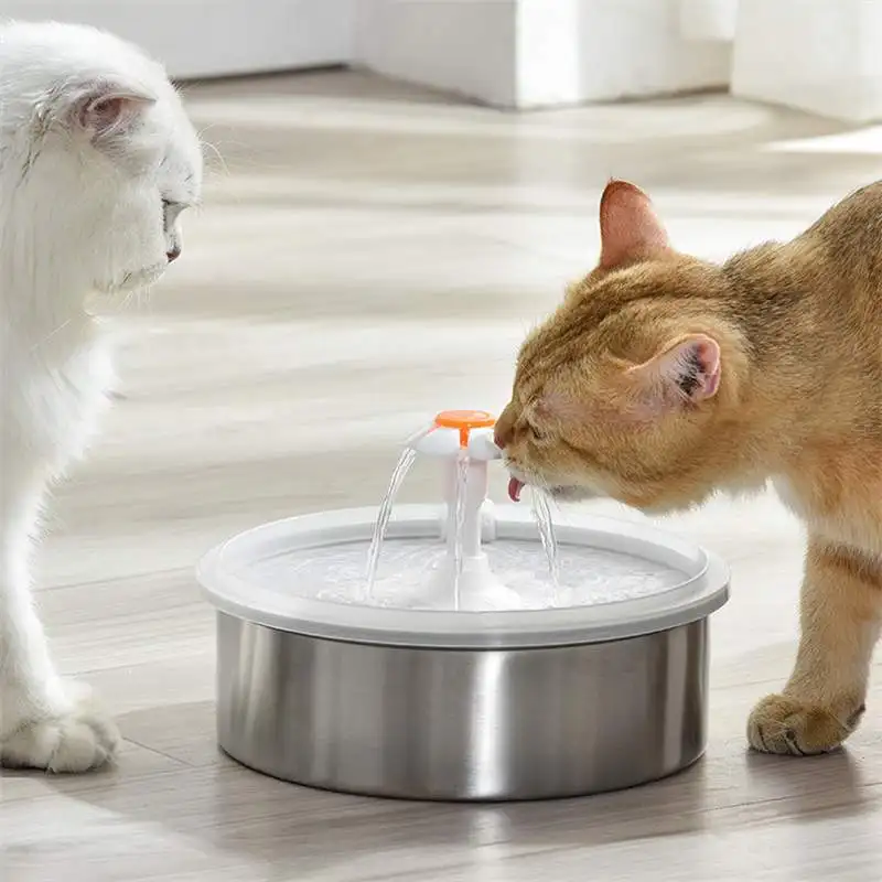 

Pet Products