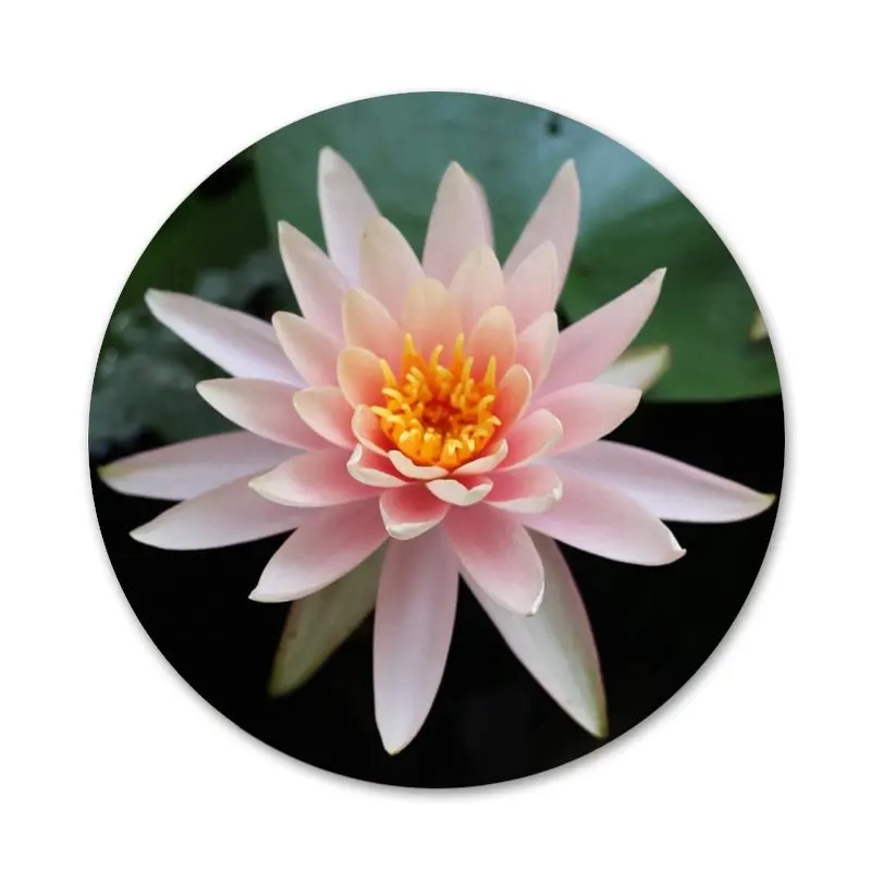 58 мм с белым лотосом значок на булавке декоративные Броши Металлические Значки