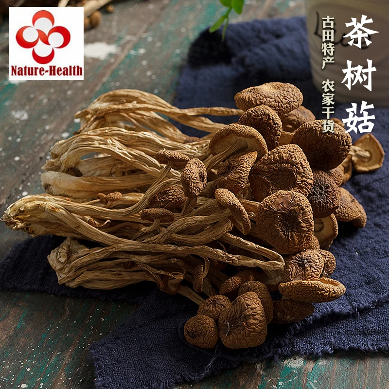 

Chinese Wild Dried Agrocybe Cylindrace Mushroom