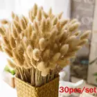 30 шт. натуральный кроличий хвост трава светлый цвет свадебные цветы пучок сушеные пампасы трава тростник цветок пучок Рождественский домашний декор