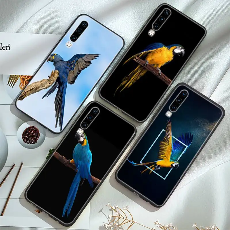

Elves Of The Animal Kingdom Parrot Phone Case For Huawei P20 30 40 Pro Mate 20x 30 40 Pro Nova6 7 Honor 9X 10