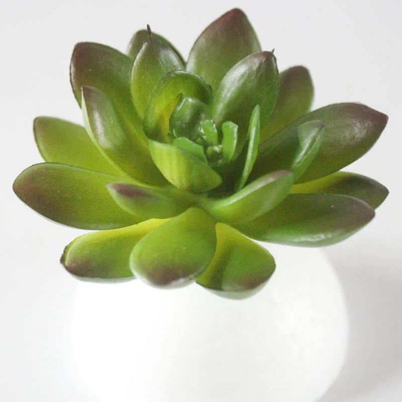 Искусственные суккуленты ПВХ Мини Трава искусственные растения пейзаж цветы