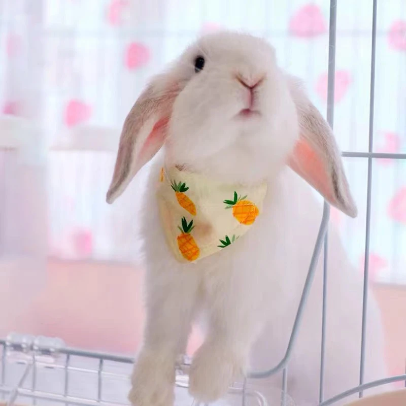 

Регулируемый Кролик воротник кролик слюнявчик треугольный шарф кролик реквизит для фото аксессуары для домашних животных кролик милый мод...