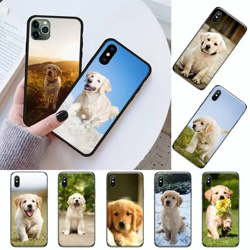 

Labrador Puppies Dog cute animal Phone Case for iPhone 11 12 mini pro XS MAX 8 7 6 6S Plus X 5S SE 2020 XR