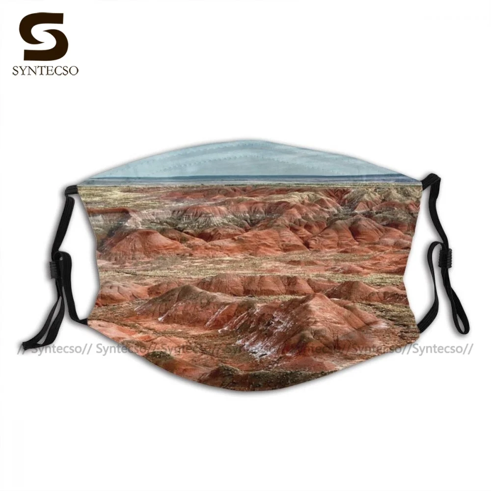 Уникальная Защитная окрашенная маска для лица Desert Аризона забавная взрослая