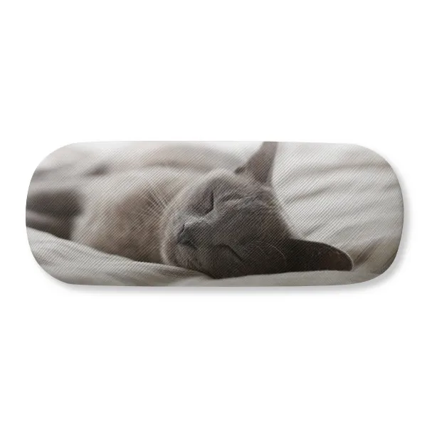 Футляр для очков с милым серым котом фотосъемки Чехол молнией футляр